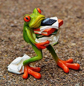 Red and green frog carrying a stack of books appearing stressed