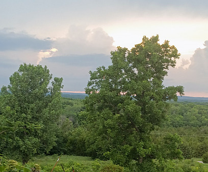 Trees, rolling hills and late afternoon storm clouds